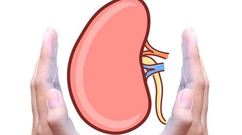 5 băuturi pentru curăţarea rinichilor: efecte miraculoase şi ingrediente simple