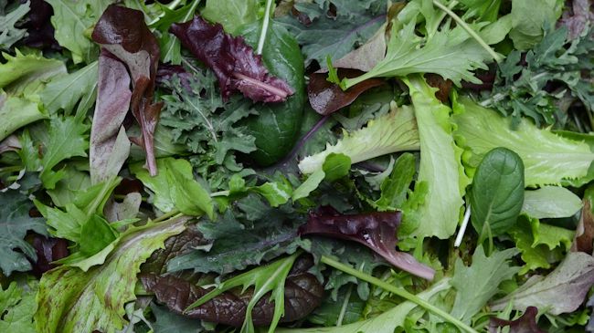 Salata la pungă, o bombă pentru sănătate. Iată ce poate conţine!