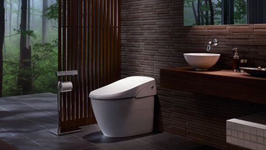 Culmea tehnologiei. Sa tragi apa la WC cu ajutorul telefonului mobil 