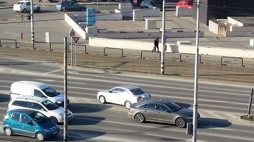 S-au trezit cu "musafiri" în mijlocul străzii. Nimeni nu a avut curaj să se dea jos din maşină