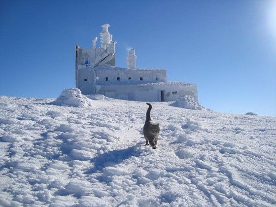 Împărăţia gheţurilor, în România. Unde e locul în care natura a creat un spectacol - GALERIE FOTO