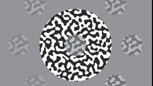 Testul care îți arată dacă suferi de schizofrenie. Privește imaginea de mai jos