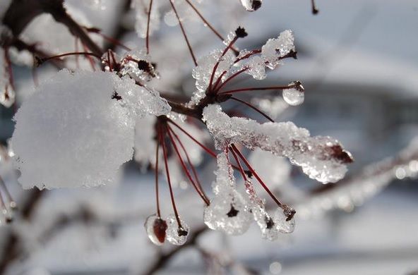 Surprize uriaşe de la vreme, pe final de săptămână. Prognoza meteo pe trei zile 