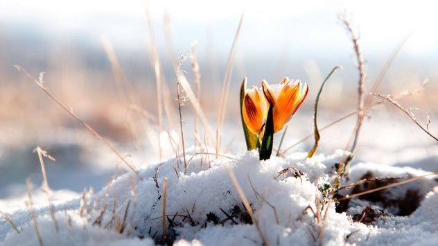 Vreme de primăvară. Prognoza meteo pe trei zile 