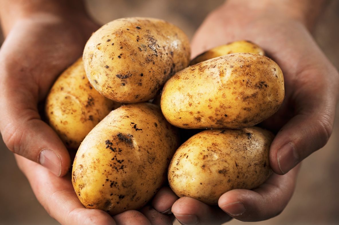 A cumpărat cartofi. Când s-a uitat mai atent la unul dintre ei, a înlemnit: Are dinţi!