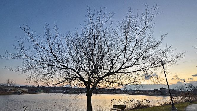 Primăvară în februarie. Cum va fi vremea la începutul săptămânii