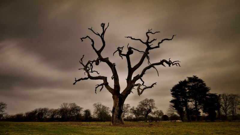 Ce înseamnă când visezi un mort