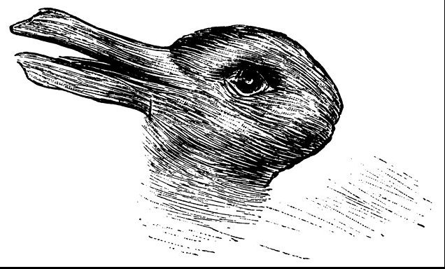 Vezi cele două animale din această imagine? Fotografia care i-a derutat pe internauți