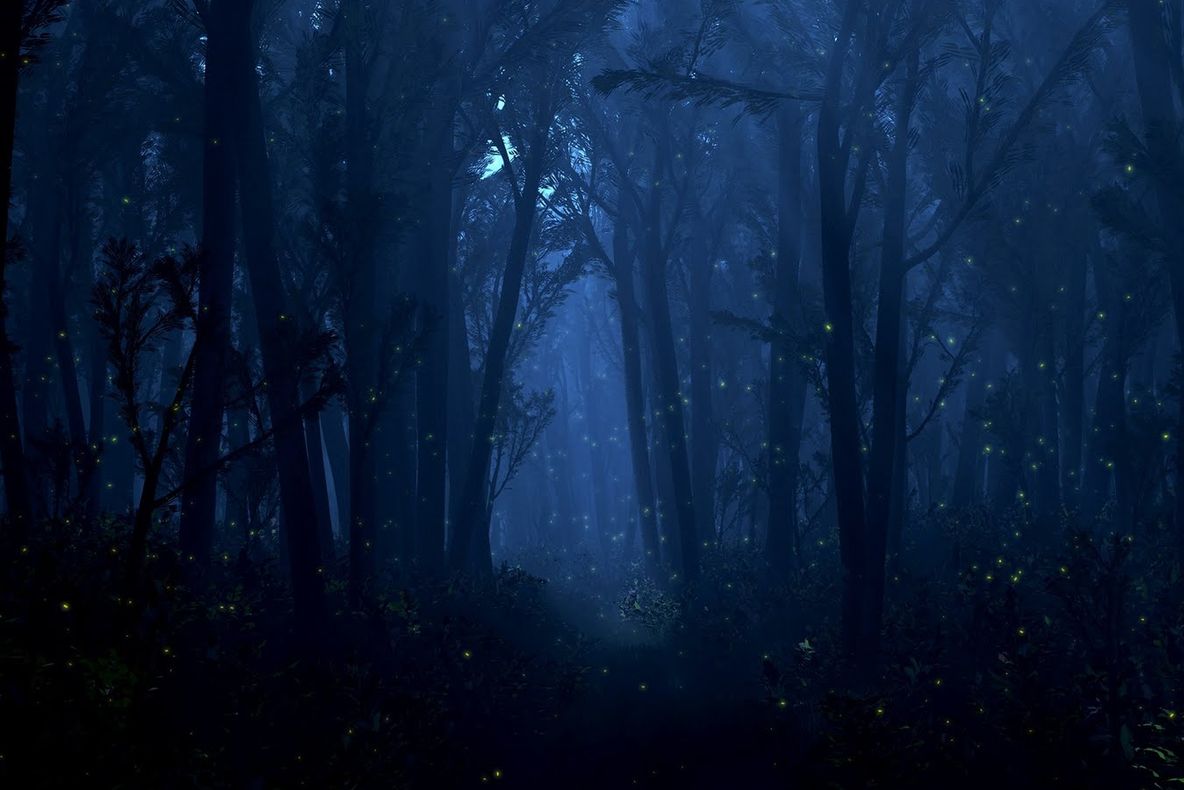 Sunetul misterios pe care nimeni nu îl poate explica. O persoană s-a sinucis după ce l-a auzit