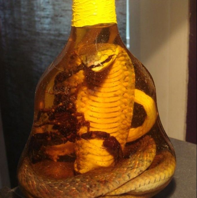 A ţinut un şarpe în alcool timp de 3 luni. Ce s-a întâmplat după ce a desfăcut sticla