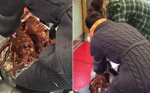 Imagini halucinante în tren. 2 femei îndeasă creaturi bizare în genți, spre șocul călătorilor