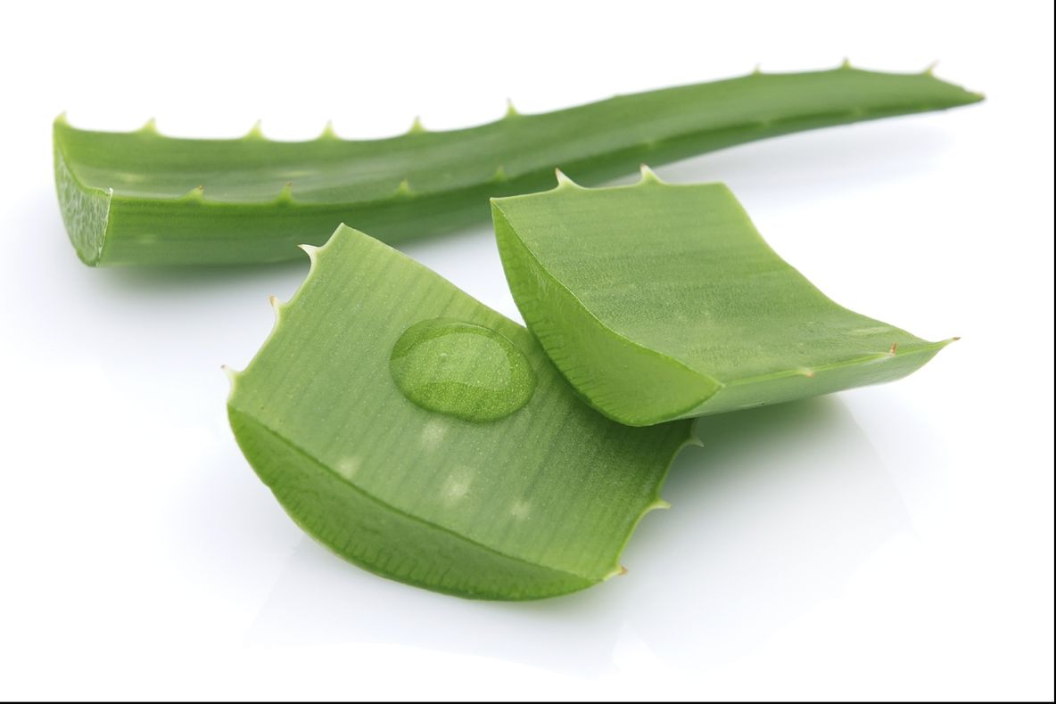 Remediul cu aloe al unui călugăr brazilian care vindecă zeci de boli