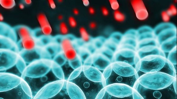 Acesta e cel mai puternic antioxidant natural din lume. În ce aliment se găsește