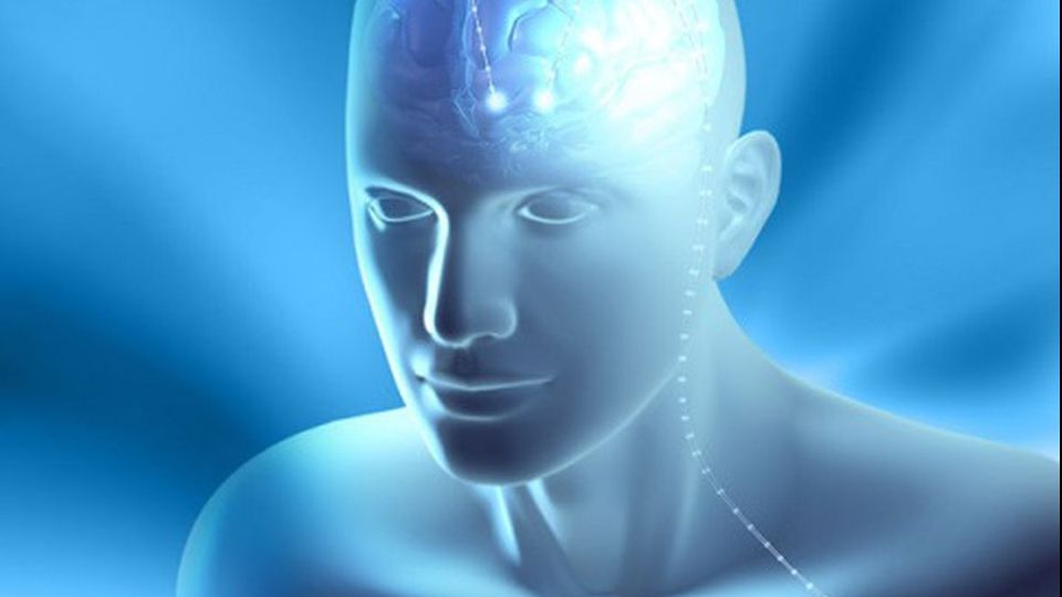 Proiect revoluţionar menit să conserve creierul uman pentru o perioadă de 100 de ani