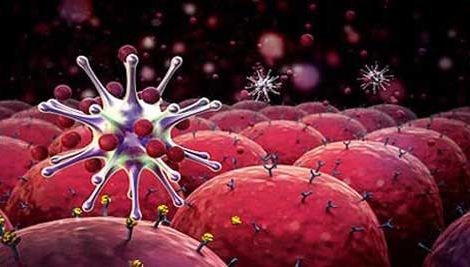 Plantele care te ajută să ţii departe cancerul