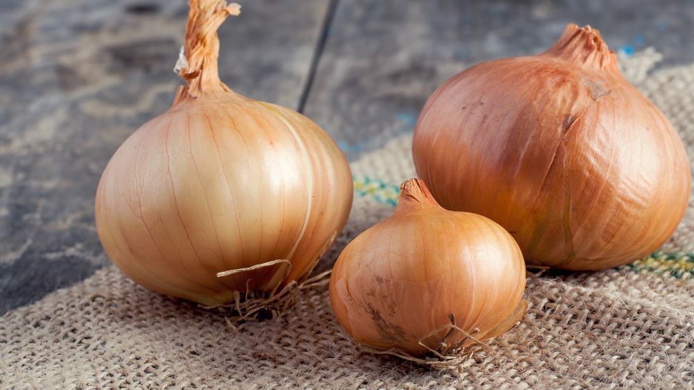 Trei remedii cu foi de ceapă uscate. Nu le mai arunca, foloseşte-le aşa!