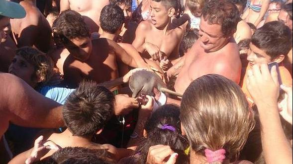 Un delfin dintr-o specie vulnerabilă a murit după ce oamenii și-au făcut poze cu el