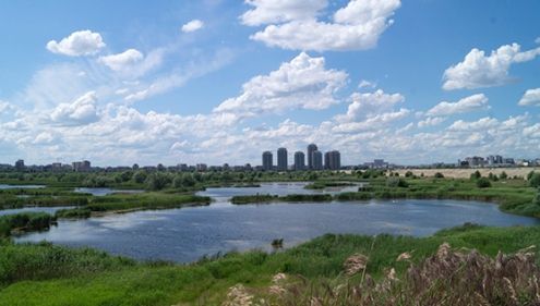 Incendiu în Delta Văcăreşti din Capitală. ISU: Focul se întinde pe 3000 metri pătraţi