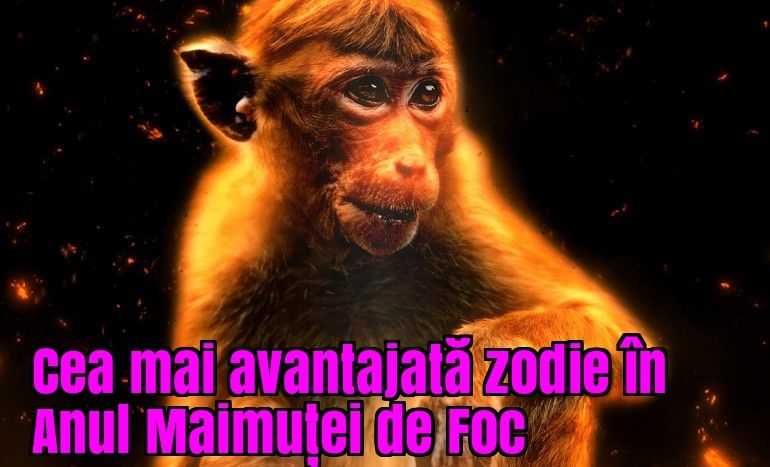 Cea mai avantajată zodie în Anul Maimuței de Foc