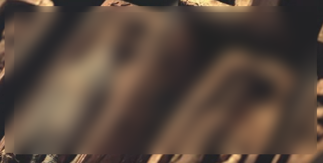 Au plecat la vânătoare. Au găsit o peşteră ascunsă. Înăuntru: 17 SICRIE. Le-au deschis şi... ŞOC