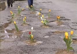 Protest inedit. Un primar din Vâlcea a plantat flori de primăvară în gropile unui drum județean