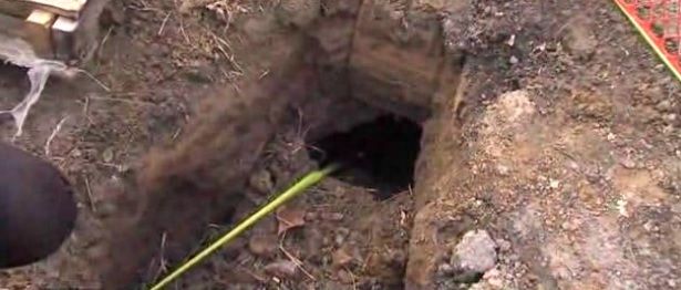 Au găsit o gaură în curtea casei. Se auzeau sunete de acolo. Au ÎNGHEŢAT când au văzut cine a ieşit