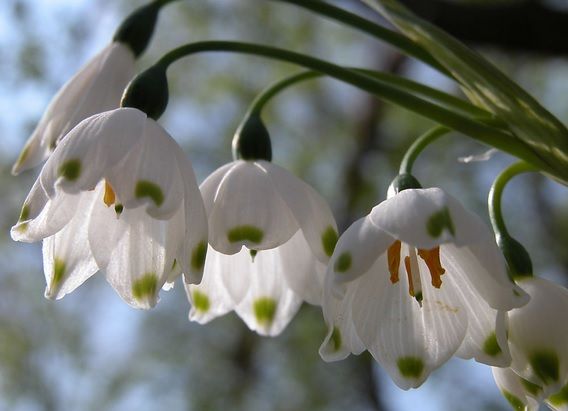 Prognoza meteo pentru trei zile: ultimele zile de februarie, vreme de primăvară