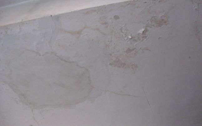 Cum scapi de igrasia din casă. Cele mai bune soluţii, la îndemână