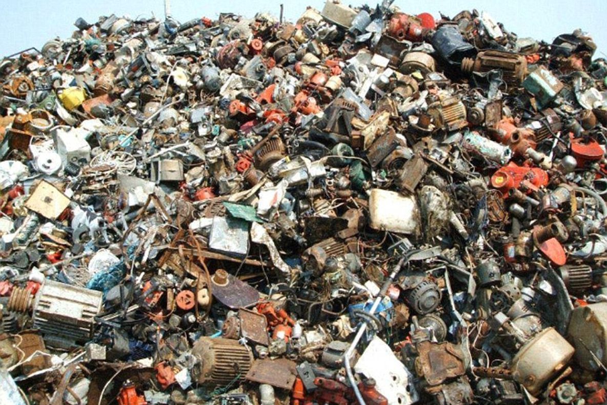 Vezi impostorul din imagine? Puțini au reușit să-l găsească.Testul care-ți pune la îndoială agerimea