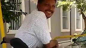 Pasărea îndrăgostită de mașina de înghețată. Cum îl convinge pe vânzător să o hrănească zilnic