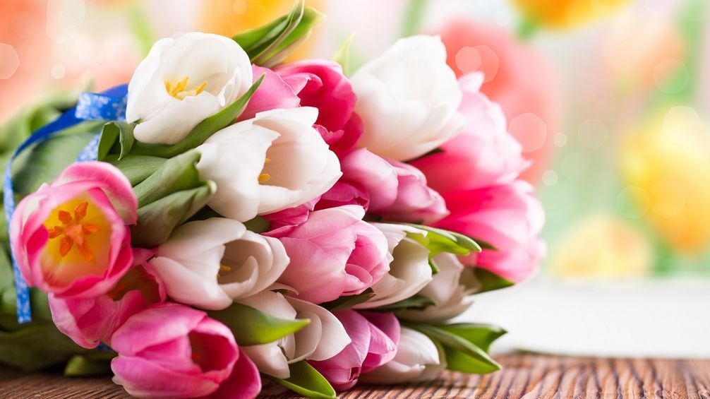 Ai primit un buchet de lalele? Ce trebuie să faci pentru ca florile să reziste mai mult în vază