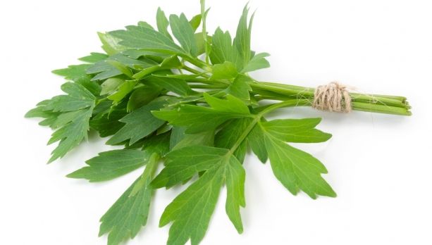 Surprinzător: ce se întâmplă dacă mănânci zilnic 20 de grame de leuştean crud