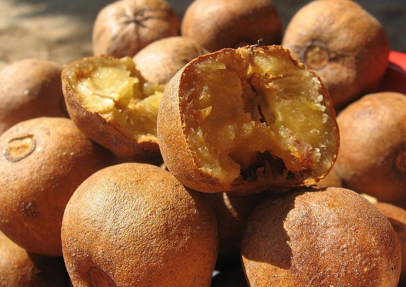 AŞA ar trebui să arate fructele şi legumele. IMAGINI RARE cu ce mâncau strămoşii noştri