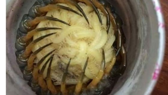 Era în bucătărie, când a auzit un foşnet într-un pahar. S-a îngrozit când a văzut ce era