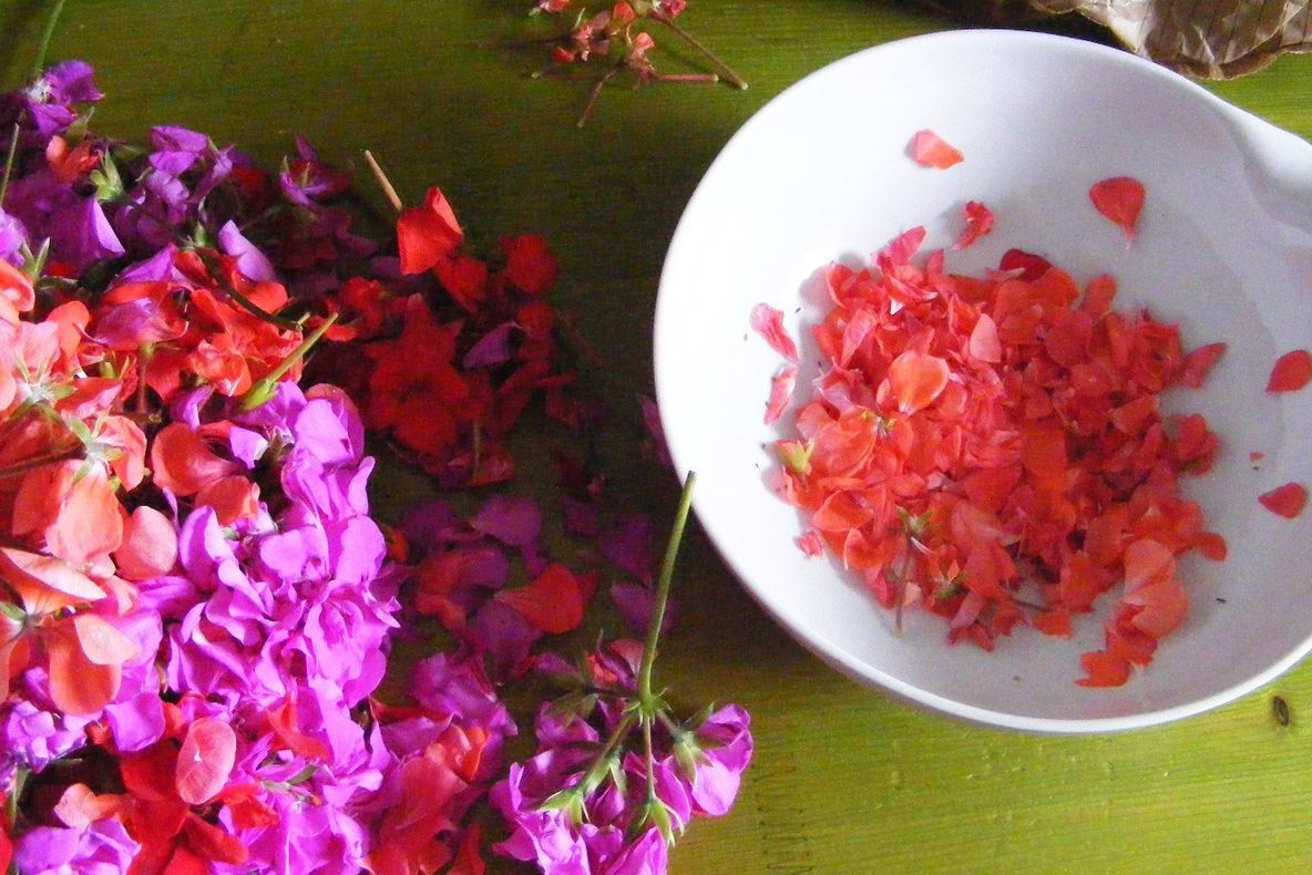 Mușcata, planta care poate trata ulcerul și durerile de cap. Cum se consumă