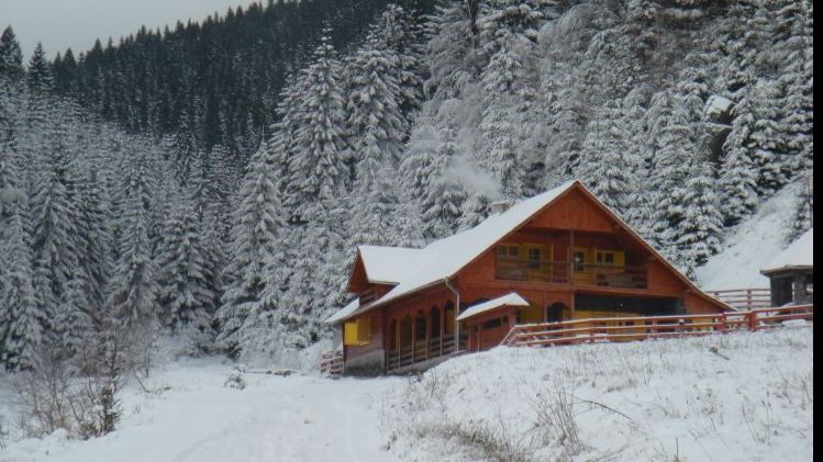 Cabana unde te cazezi GRATIS! Află care este singura condiție pe care trebuie să o îndeplinești