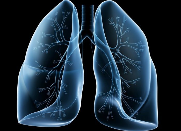 Amestecul natural din trei PLANTE care îţi curăţă plămânii. Şi tu le ai în casă!