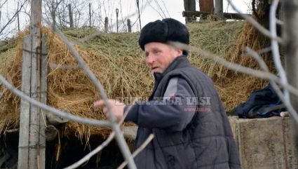 Un ieșean a primit un colet de la fiul său plecat din țară. L-a deschis și s-a îngrozit