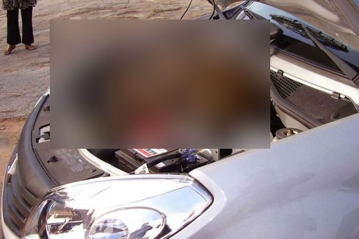 Mașina nu pornea dimineață, așa că a deschis capota și..șoc. A luat-o la fugă