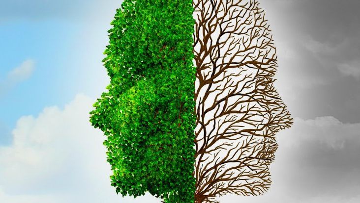 Creierul uman este cel mai activ în ACEST anotimp