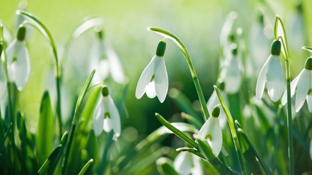 Temperaturi de 18 grade! Prognoza meteo pe trei zile 