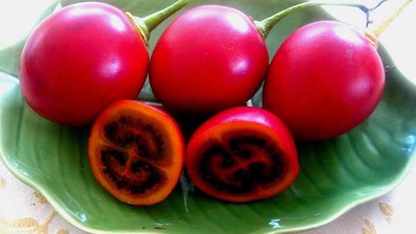 Tamarillo, fructul exotic mai puțin cunoscut cu efecte uluitoare asupra sănătății