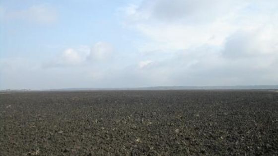 Era pe câmp când a făcut o descoperire neaşteptată. Poliţia a venit imediat