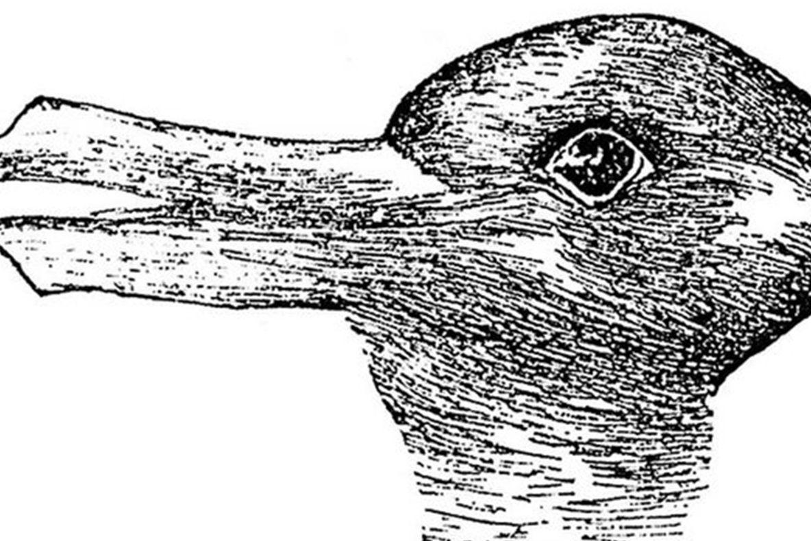 Test-fulger! Ce vezi în primele secunde când priveşti această imagine?