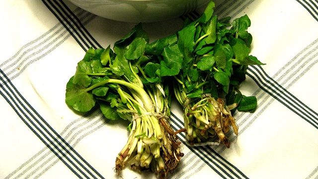 Adevărul despre untișor. Îl mâncăm fără să știm cât de toxic e de fapt pentru organism