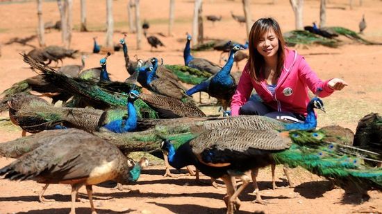 Incident neobişnuit la o grădină zoologică. Imaginile au stârnit controverse pe Internet