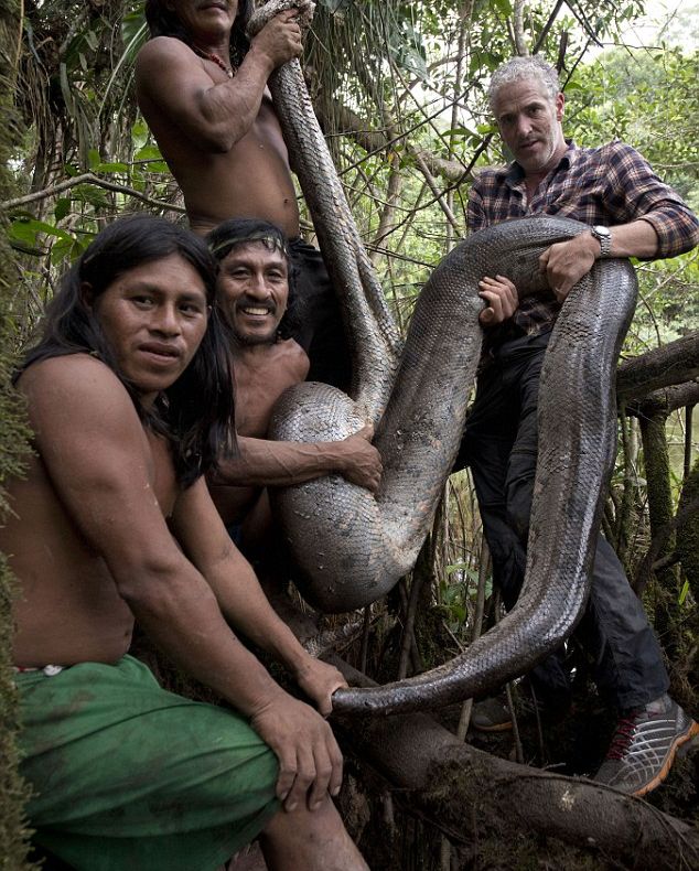 Cum arată cel mai mare şarpe din lume, descoperit în jungla Amazonului