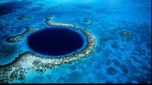 Marea Barieră de Corali a început să albească. ''Este îngrijorător''