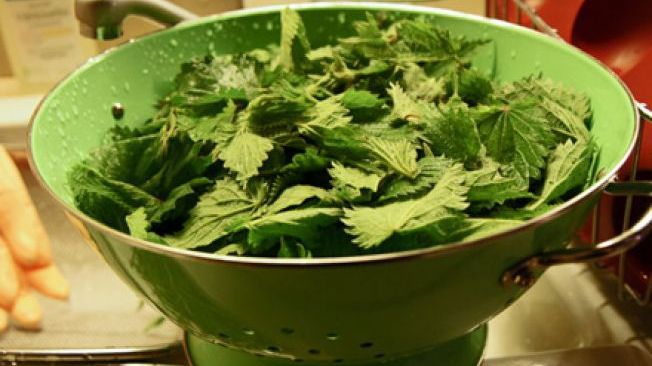 Cum să alegi urzicile