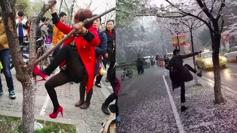 Cele mai penibile fotografii ale primăverii: au fost în stare de orice pentru un selfie!